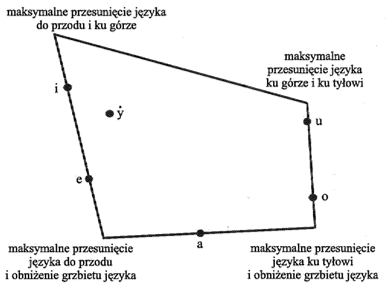 czworobok samogłoskowy ruchy języka